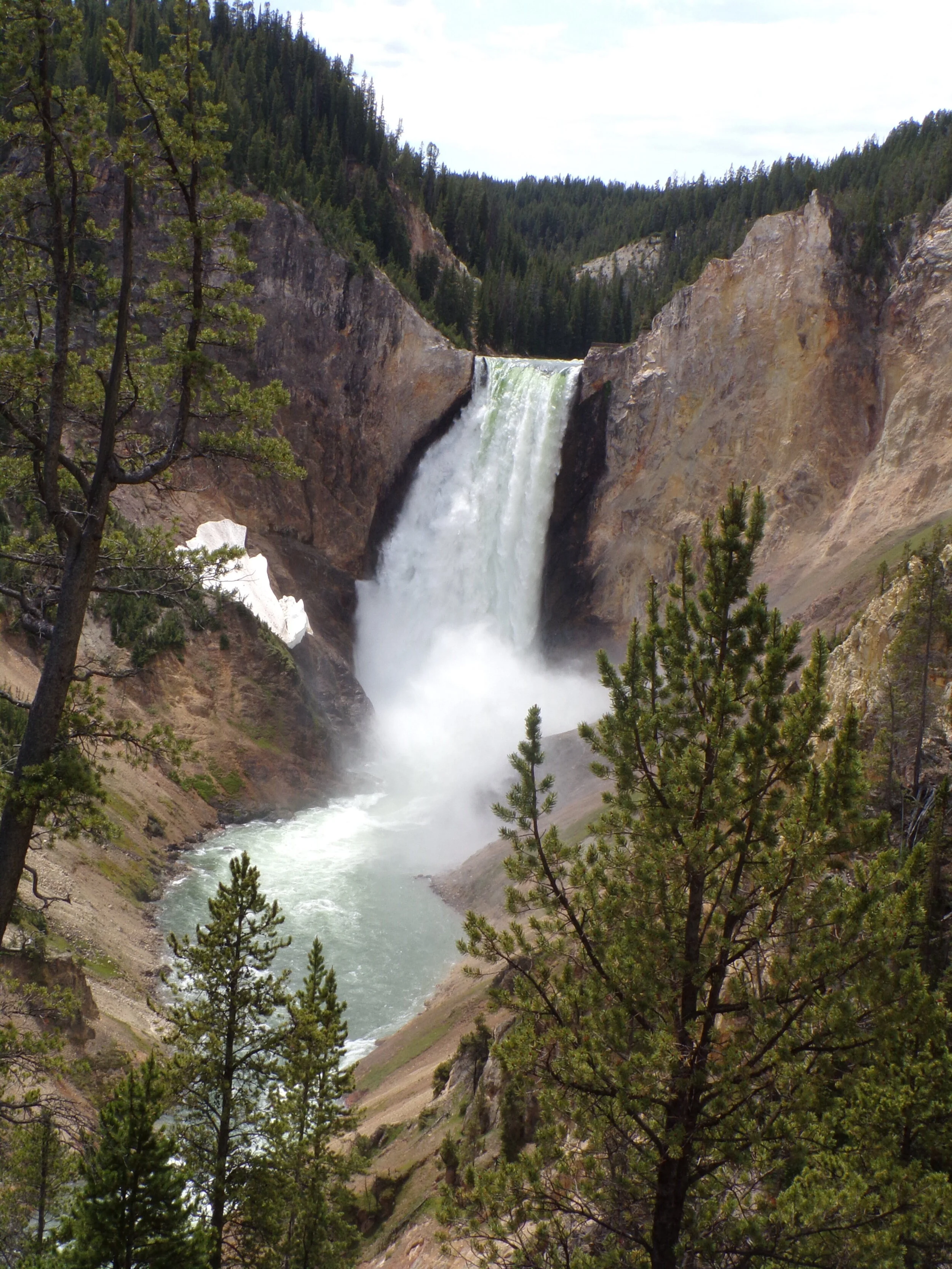 Finding the Trail from Canyon General Store to the Canyon in Yellowstone National Park. Living the Hight Life